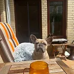 Idyllische Mit Terrasse Und Seezugang דירה *