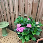 Idyllische Mit Terrasse Und Seezugang דירה בוסאו