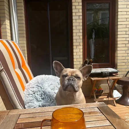 Idyllische Mit Terrasse Und Seezugang Daire *