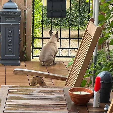 Idyllische Mit Terrasse Und Seezugang * Bosau