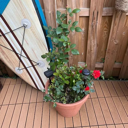 Idyllische Mit Terrasse Und Seezugang Bosau